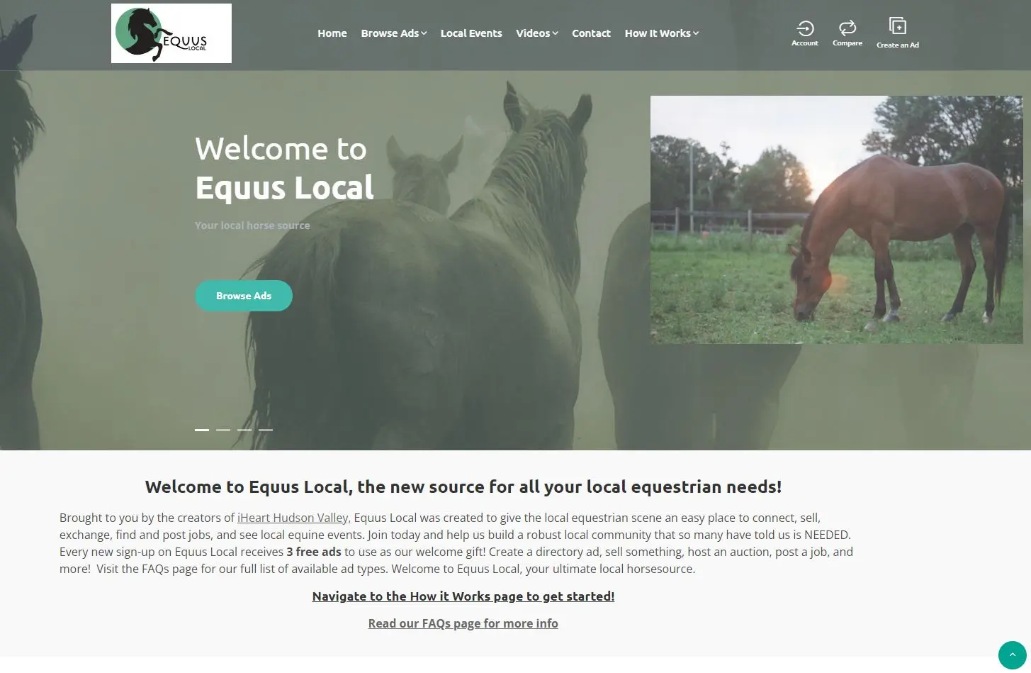 equuslocal-2 Equus Local